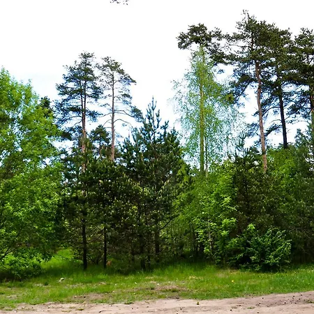 Хостел Maenniku Jk