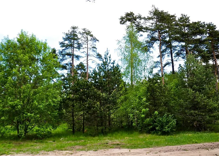 Vandrerhjem Maenniku Jk